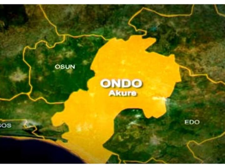 Ondo communities protest detention of monarchs, alleged land grabbing