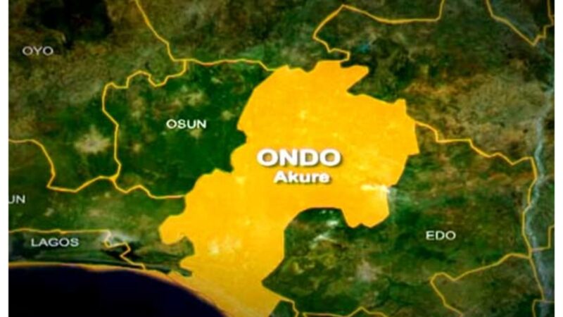 Ondo communities protest detention of monarchs, alleged land grabbing