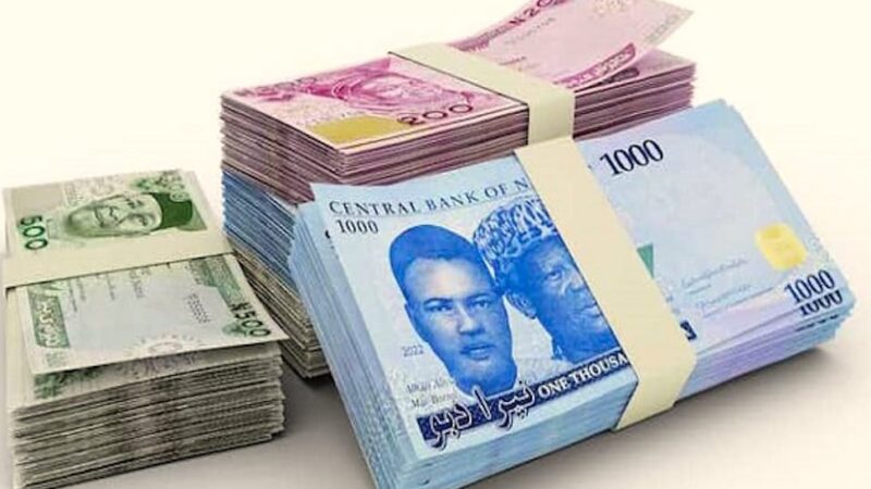Naira appreciates 1,446.74/$, capital inflows hit $20.98bn