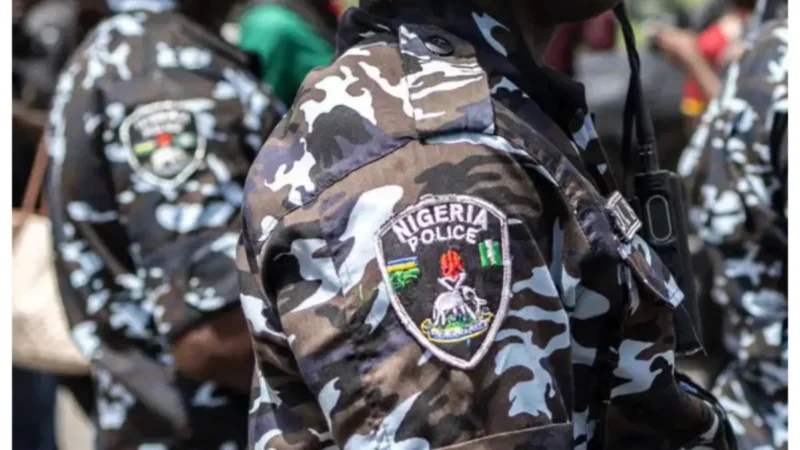 Chief Judge raises alarm over withdrawal of police orderlies