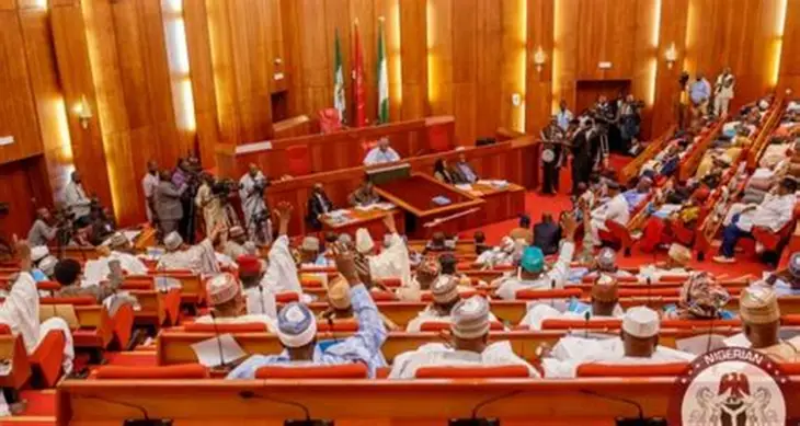 Senate orders nationwide crackdown as lead poisoning hits Lagos