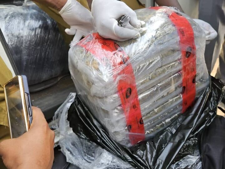 Apapa Customs, NDLEA Bust 347.5kg of ‘Canadian Loud’ Hidden in Imported Vehicle