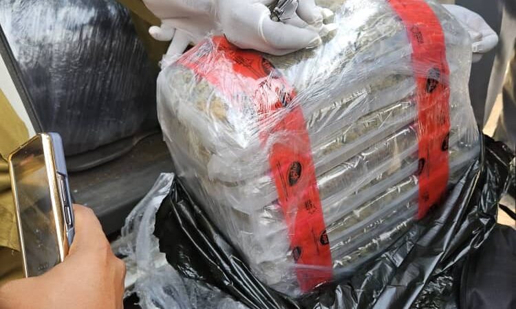 Apapa Customs, NDLEA Bust 347.5kg of ‘Canadian Loud’ Hidden in Imported Vehicle