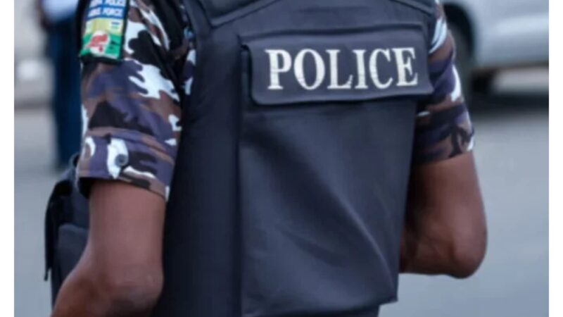 Nigeria Police understaffed, underfunded – Inalegwu